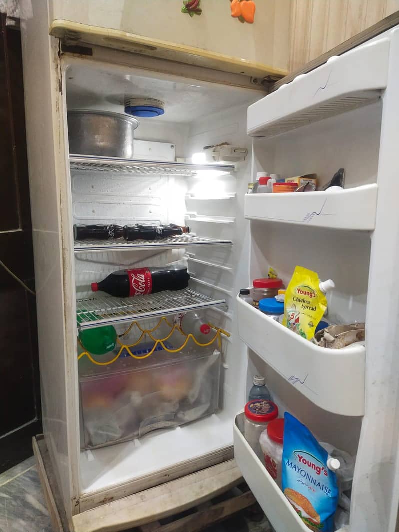 Freezer 1