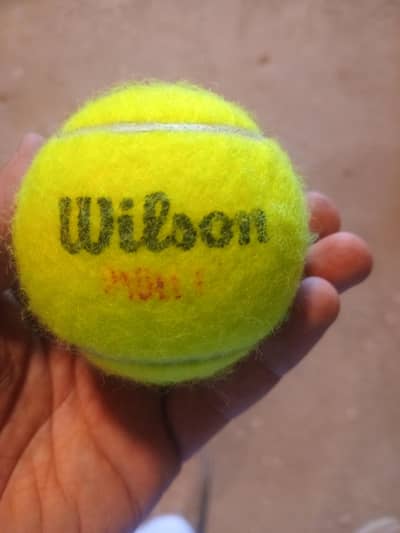 cricket tennis ball