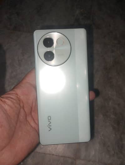 Vivo e