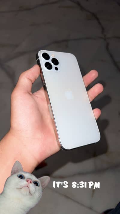 iPhone 12 Pro PTA Approved
