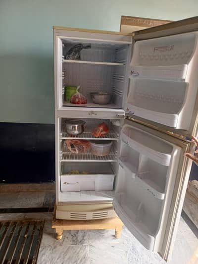 this fridge is from pel  size is medium condition is 10/9