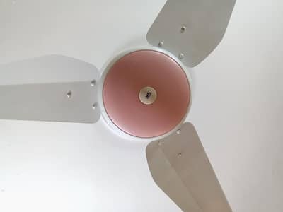 SK company fans condition 10/10