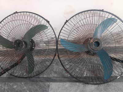 Bracket Fan