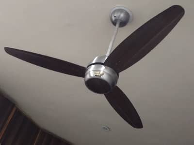 Celling fan