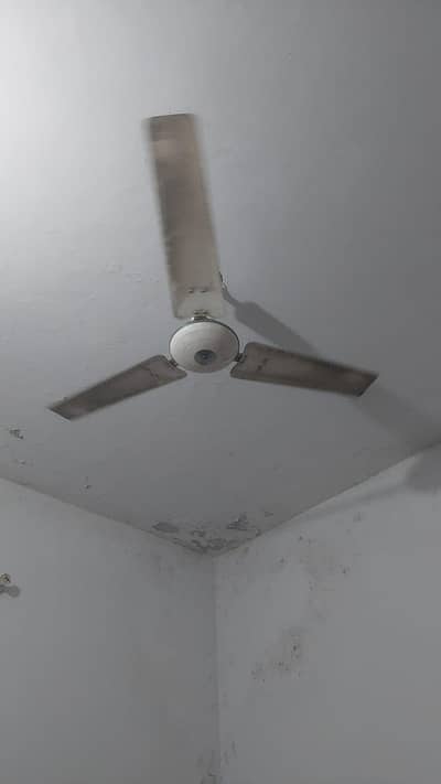 GFC ceiling fans