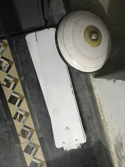 Ceiling fan for sale pure copar