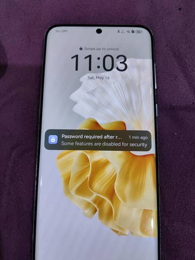 huawei p60 pro