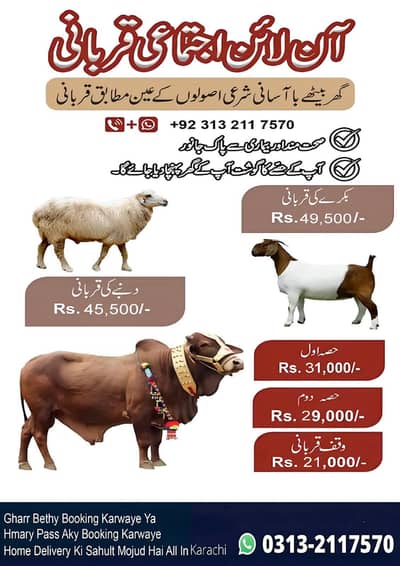 HISSA IN QURBANI