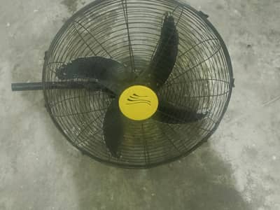 DC 12 volt