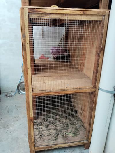pinjra, panjra, cage, pet, hen, murgi, tota