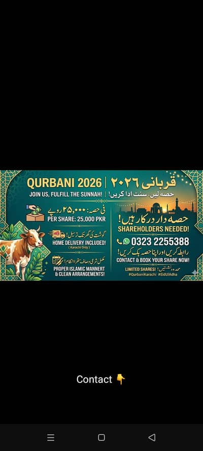 Cow Qurbani