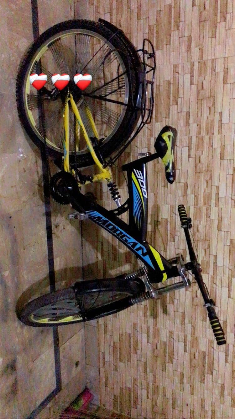 Bicycle 1