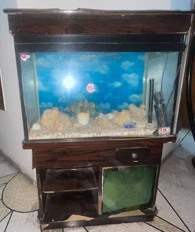 Fish aquarium available for sale 100% working condition