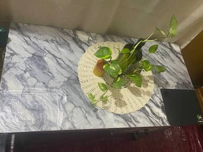 Table new