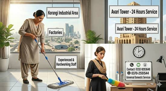 universal domestic servant and service's