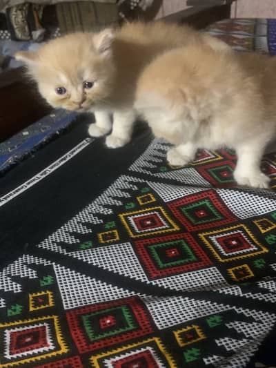 For sale