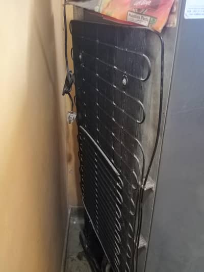 haire fridge