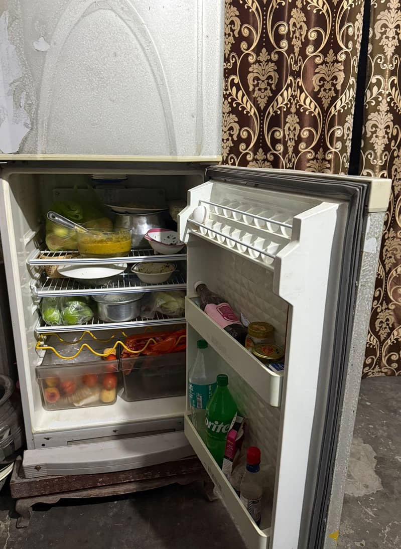 frige 1