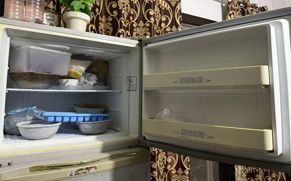 frige 2