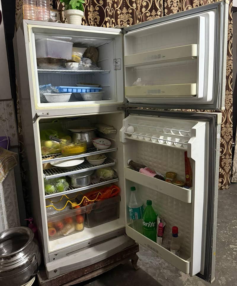 frige 4