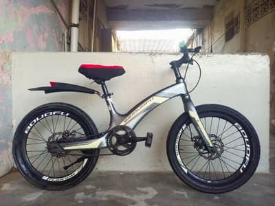 Beidufo imported Cycle - 20 - size - 0320/2257/271