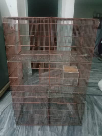bird cage