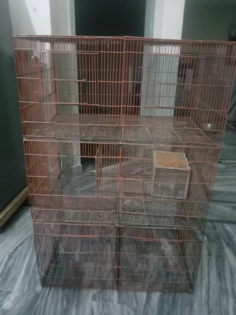 bird cage 1