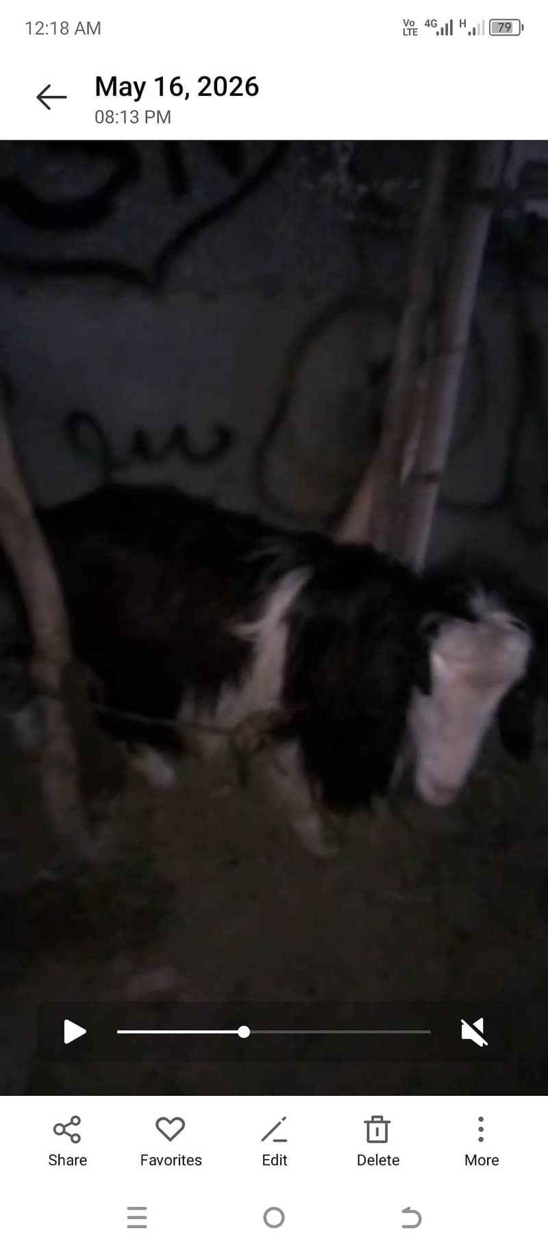 bakra 0