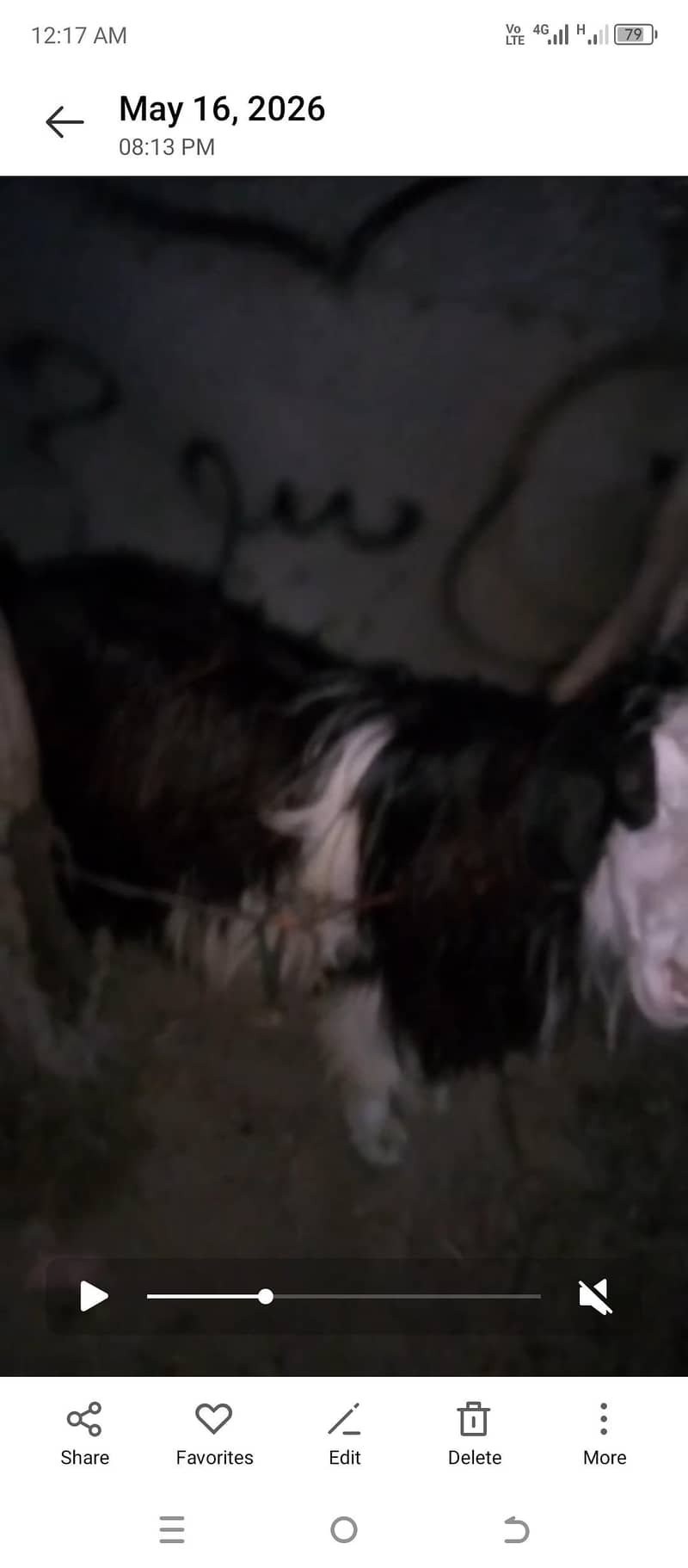 bakra 1