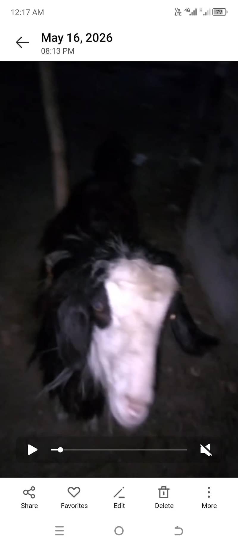 bakra 2