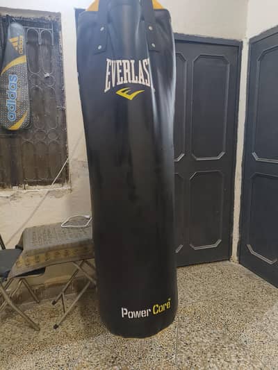Imported EVERLAST Boxing punching bag (5Feet)