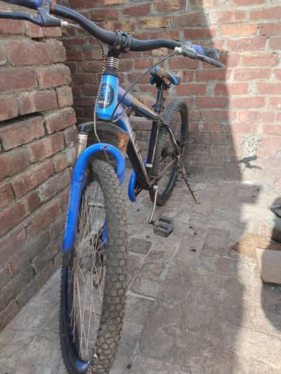 Bicycle for Sale
