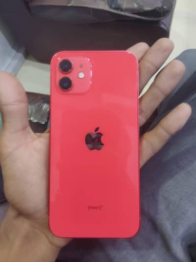 iphone 12 red color