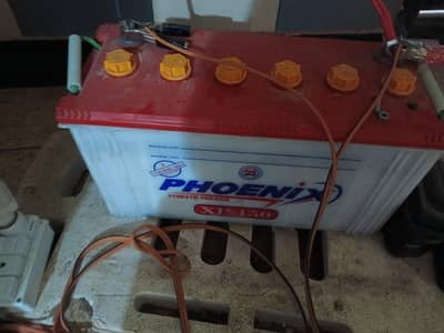 Phoenix 150