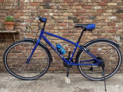 Bridgestone Hybrid Cycle