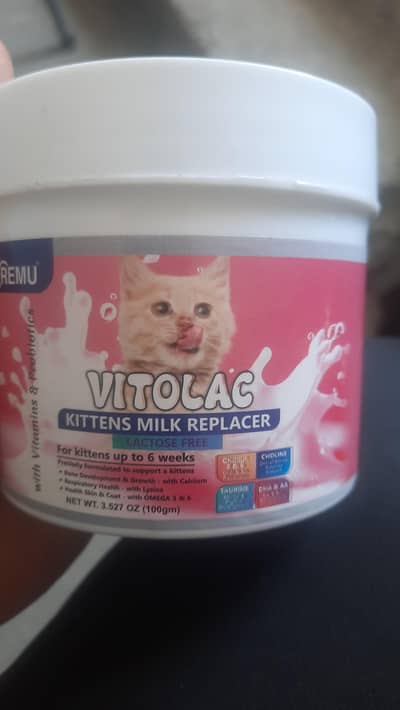 cat milk