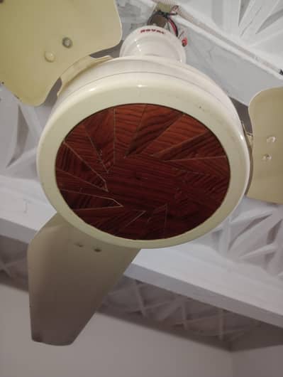 Royal AC DC Celling Fan