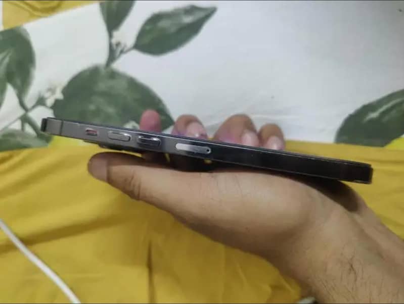 iphone 13 pro max 1