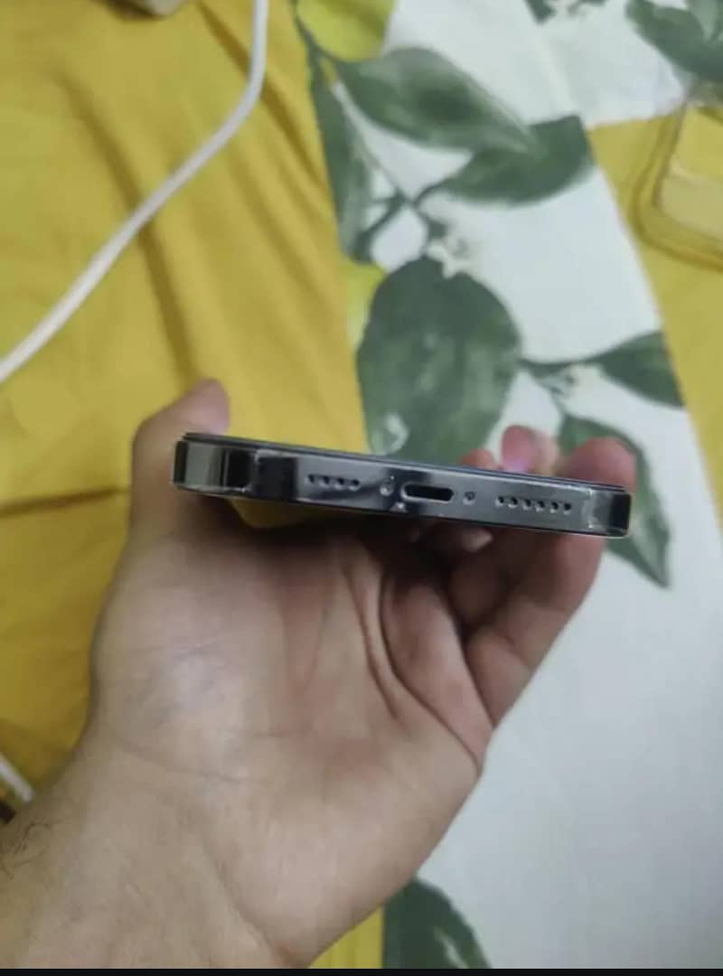 iphone 13 pro max 2