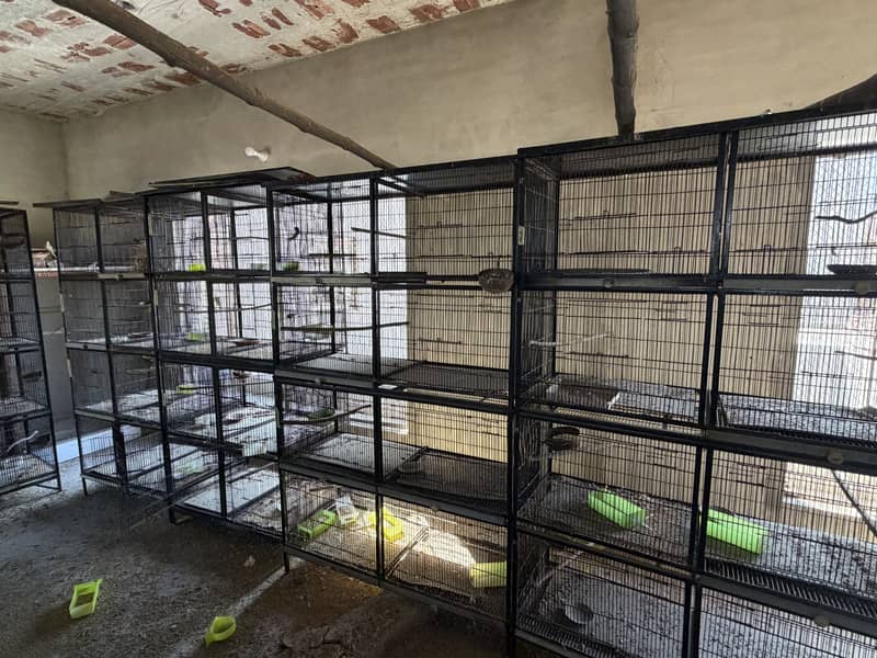 Cages 1