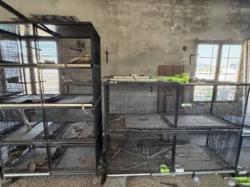 Cages 2