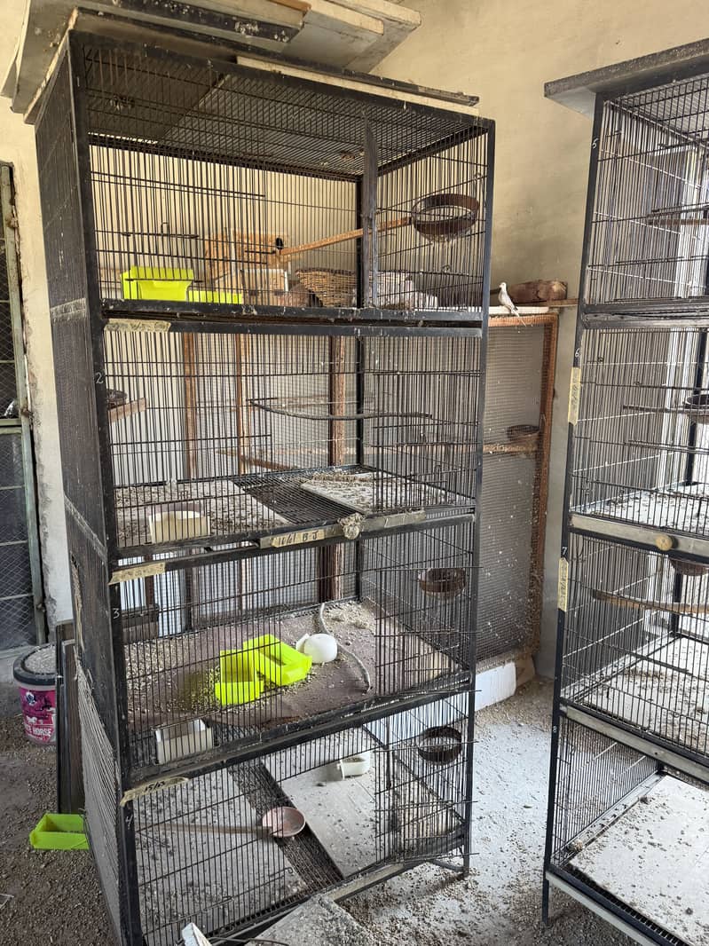 Cages 3