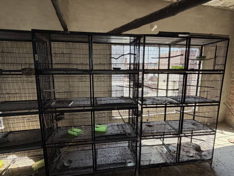 Cages 4