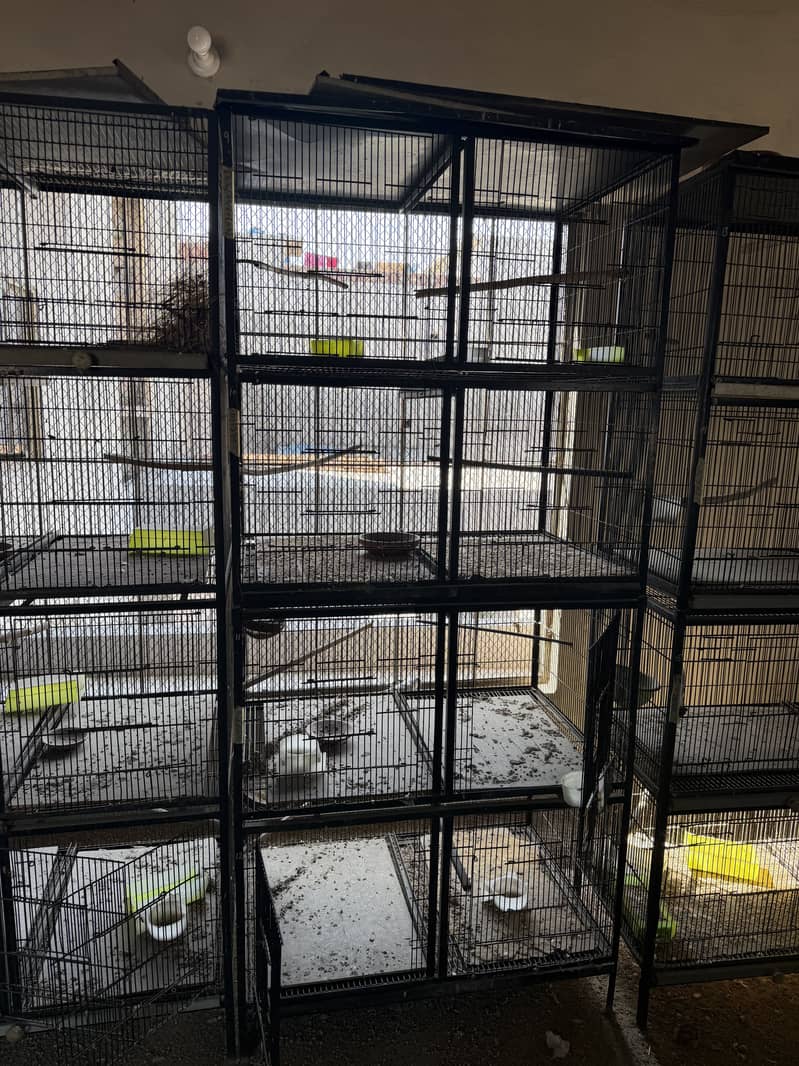 Cages 5