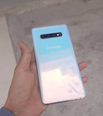 Samsung s10plus panel