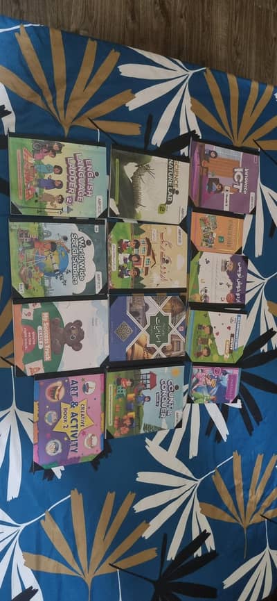 alied school 2 class full course all books and copies 2026 session