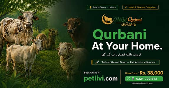 Professional Qasai Service Lahore 2026 -- Home Qurbani | Bakra Cow