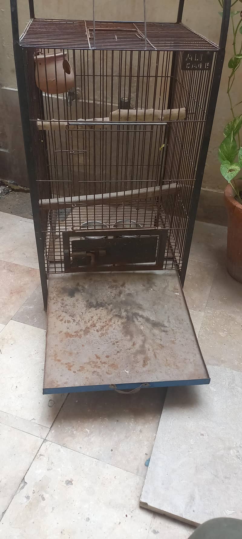 cages 1