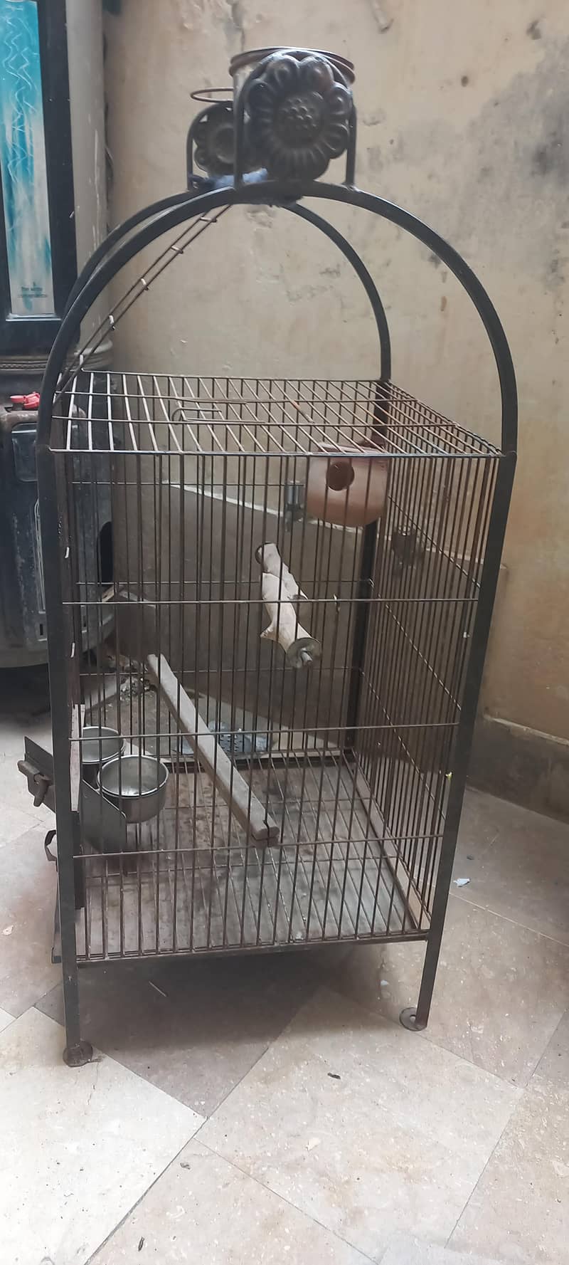 cages 2