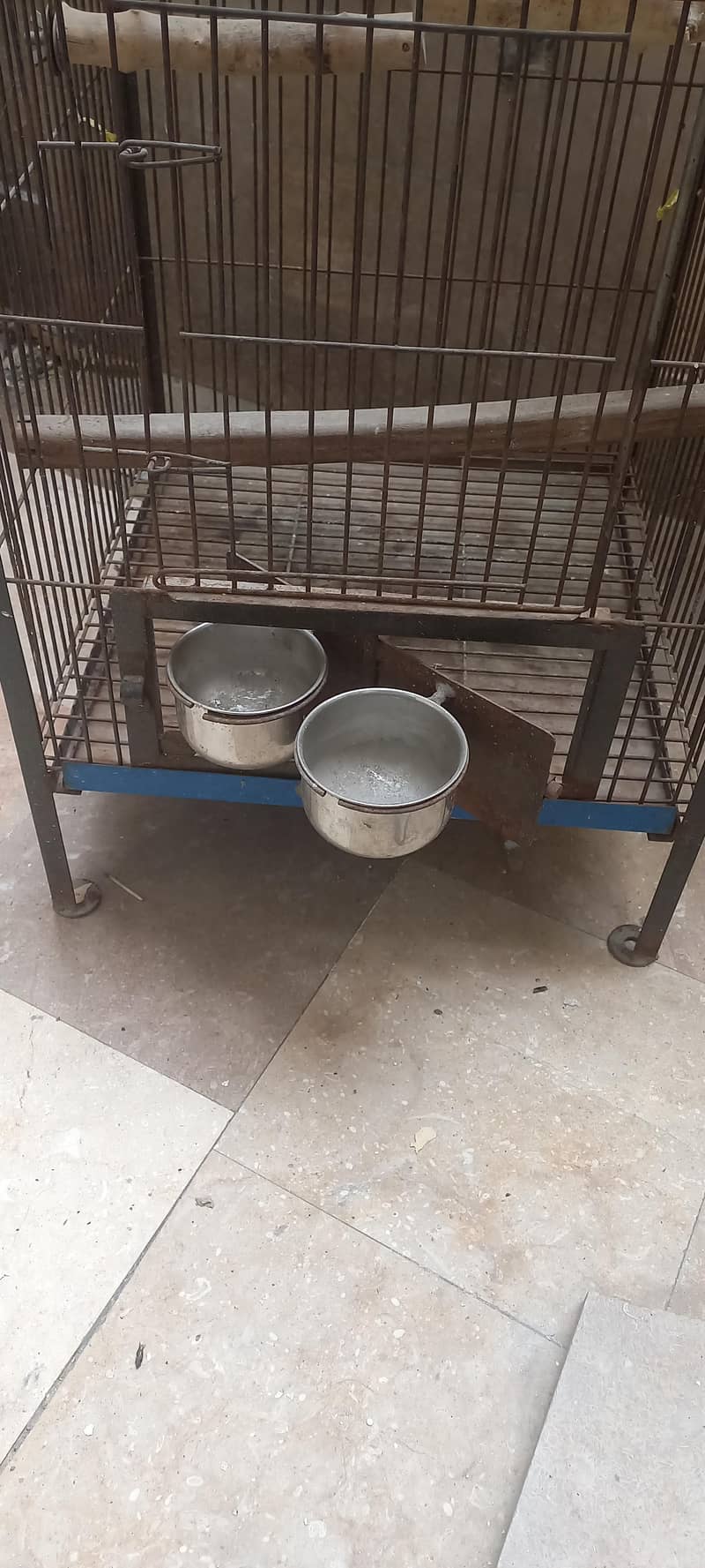 cages 4